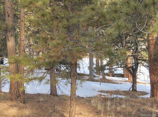 222 Saguaro Rd, Hartsel, CO 80449
