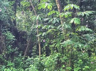 Paradise Rd LOT 240, Pahoa, HI 96778