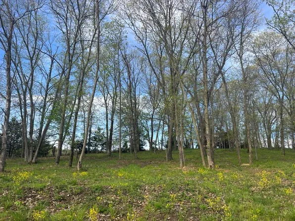 Nb 55 Wildflower Dr, Unionville, MO 63565