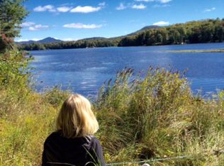 463 Woodys Rd, Newcomb, NY 12852