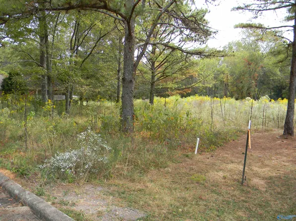 LOT 6 Cade Cir, Leesburg, AL 35983