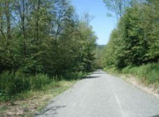 5219 Peas Eddy Rd, Hancock, NY 13783