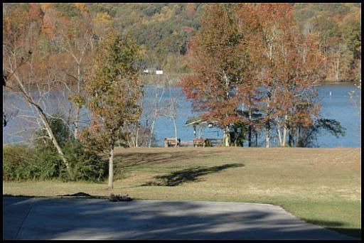 Back Yard Lake View