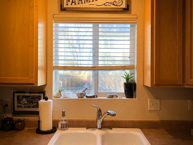 Kitchen window