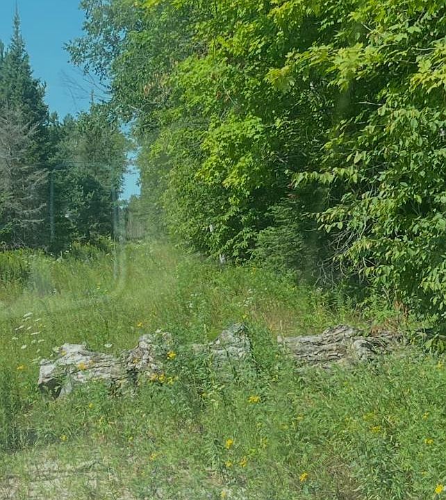 2nd image of Tbd Metekal Rd