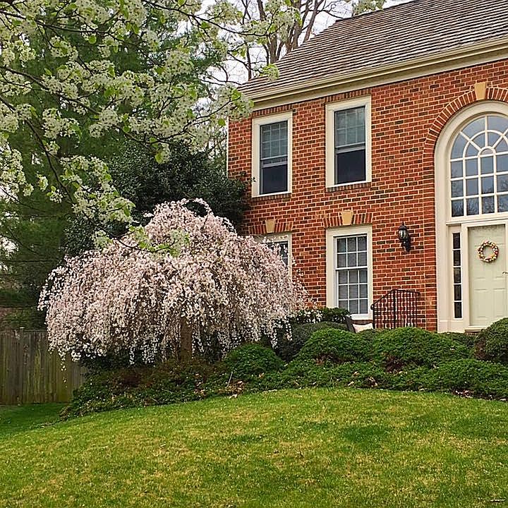 1st image of 8818 Surrey Ct
