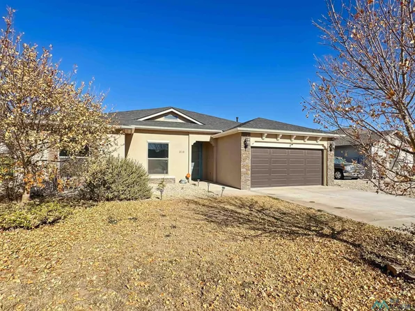 310 Baler Ln, Carlsbad, NM 88220