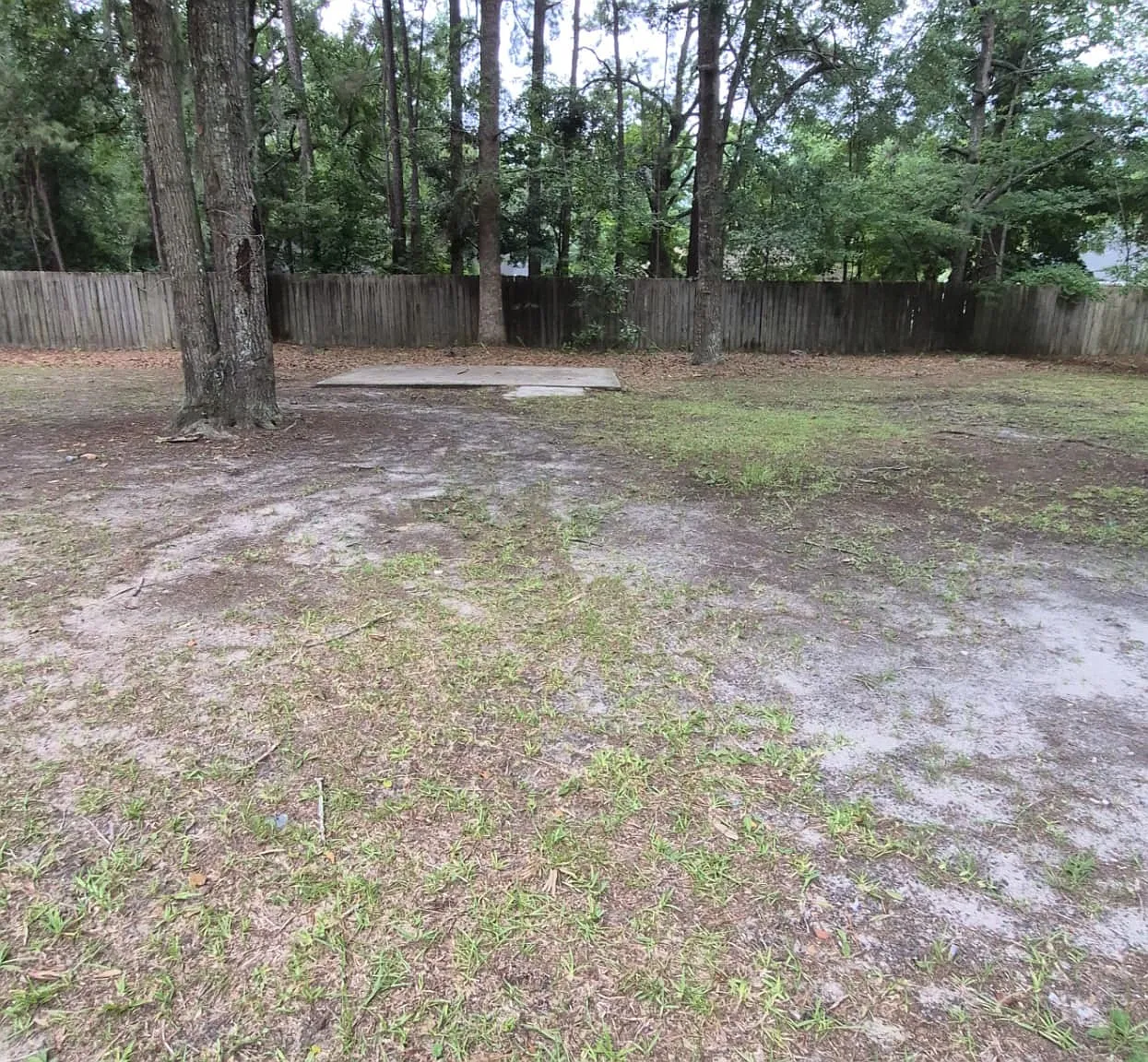 111 Becky Street - 1 — Photo 1