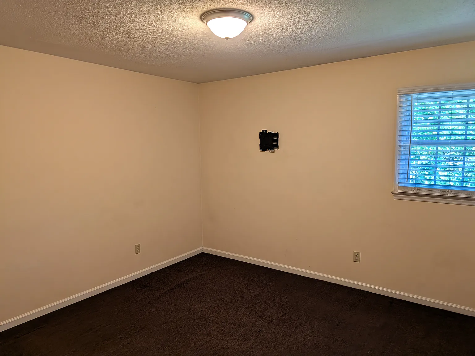 2 bed, 1.5 bath, 1175 sqft, $1,195 — Photo 3