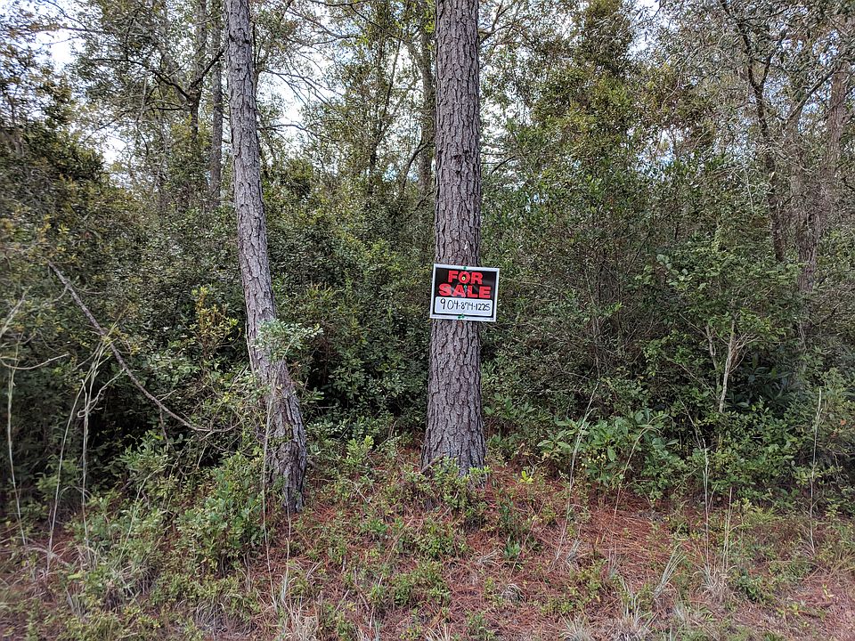 2nd image of 16 Buie Ln