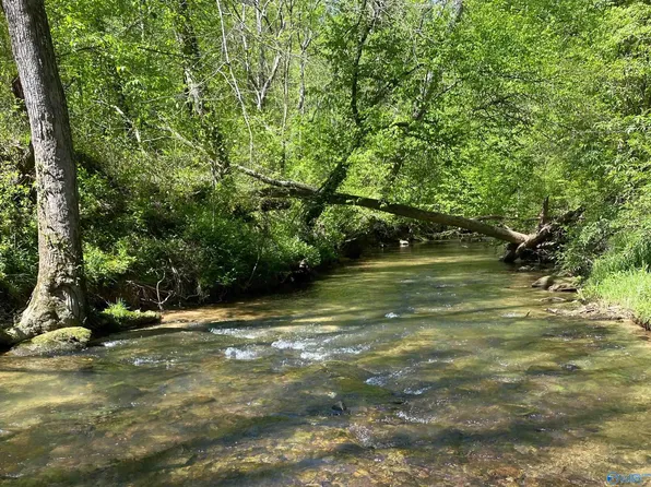 2040 County Road 1082, Vinemont, AL 35179