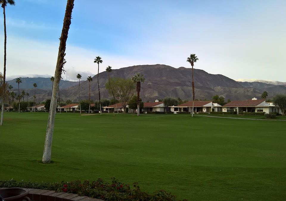 Patio/Backyard view