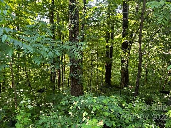 4th image of 0 Cascada Vista Dr #24