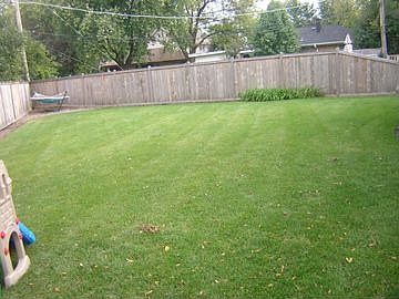 huge, professionally landscaped yard!