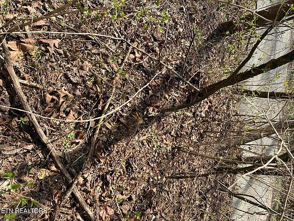 4th image of 0 Alex Bales Rd Lot 1