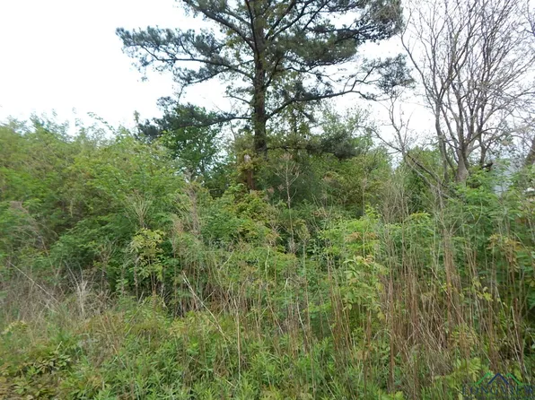 3-4 Us Highway 259 N #E, Ore City, TX 75683