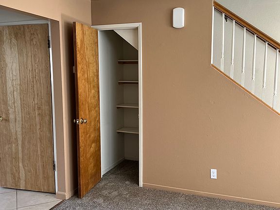 livingroom storage under stairs