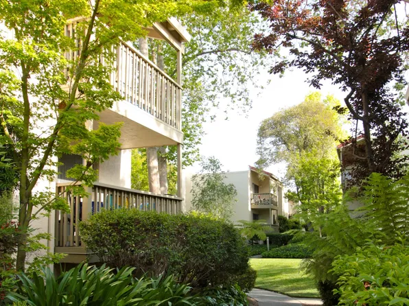 Spring Creek Apartments, 100 Buckingham Dr #6beded5d0, Santa Clara, CA 95051