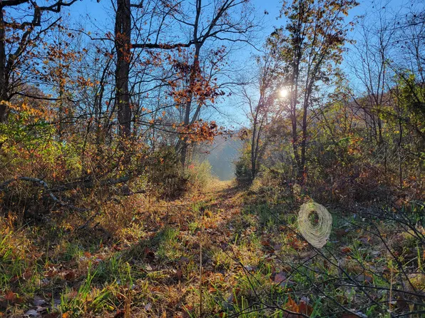 0 Morris Road, Mountain Grove, MO 65711