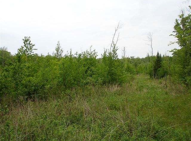 2nd image of On Mail Route Rd