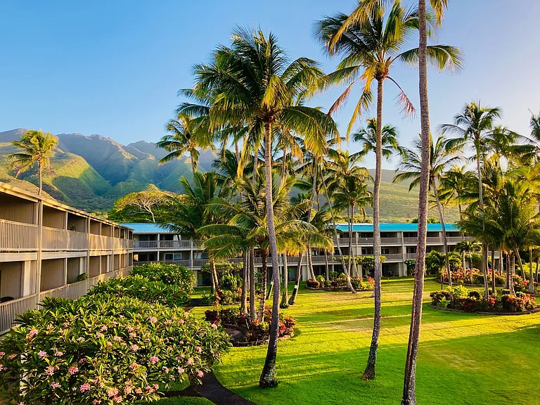 7146 Kamehameha V Hwy #C112 — Photo 1