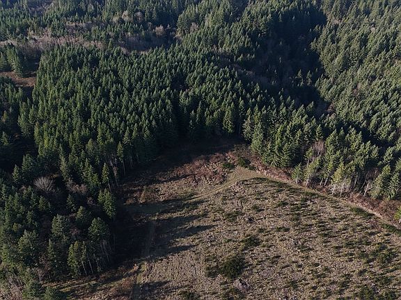 3rd image of 39775 SE Kitzmiller Rd