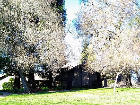 3rd image of 11576 Gold Country Blvd