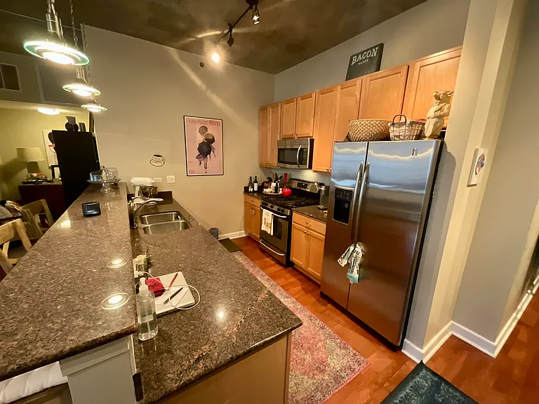 1305 S Michigan Ave #1011 — Photo 5