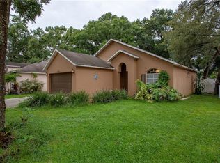 8720 Busch Oaks St, Tampa, FL 33617