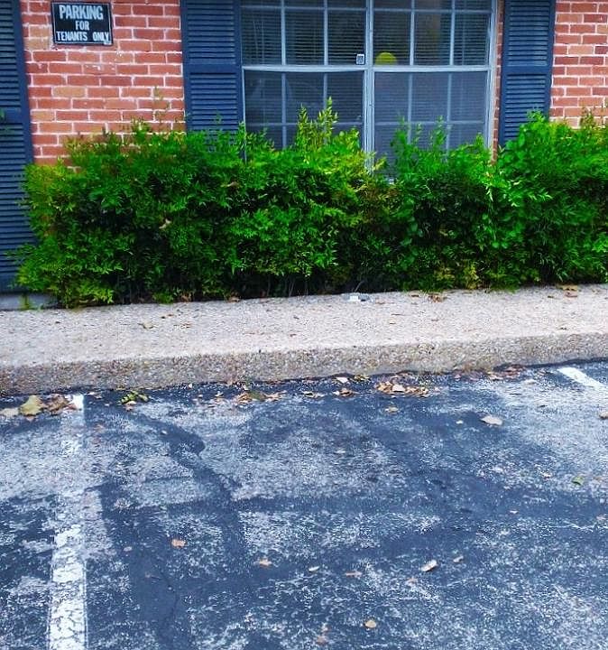 FREE Parking
