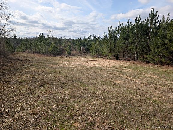 3rd image of 0 Butter And Egg Rd