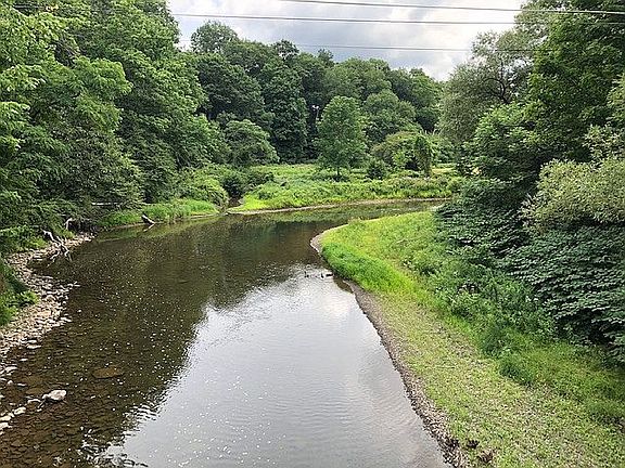 Charlotte Creek Deed Access