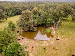 252 Banks Rd, Hardy, AR 72542