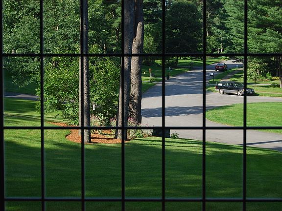 View Out Living Room Window