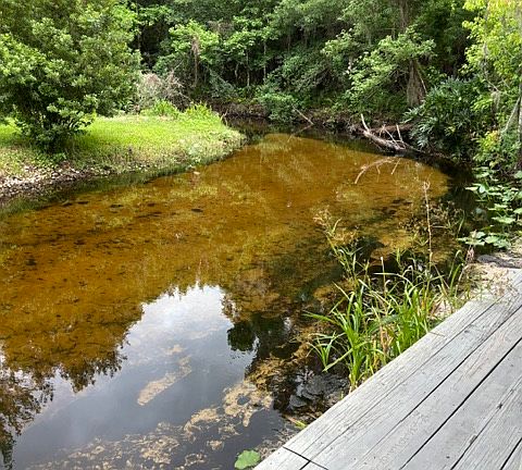 5th image of 9131 Old Tiger Creek Trl #3
