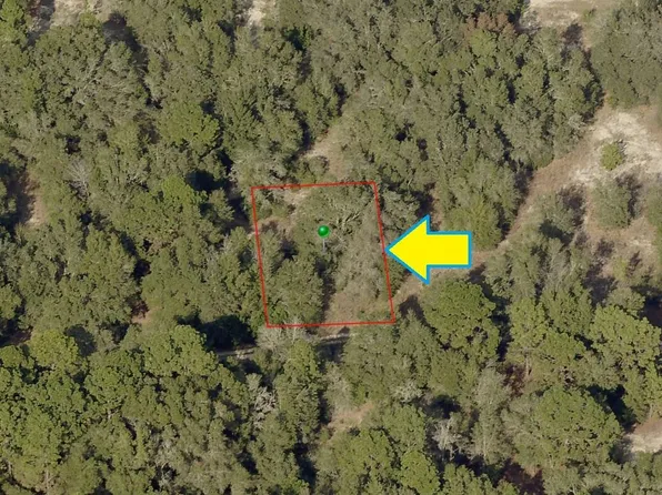 2510 Reagan St, Inverness, FL 34453