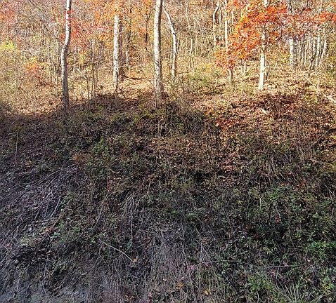 2nd image of 5657 Hidden Hollow Way Lot 56/57