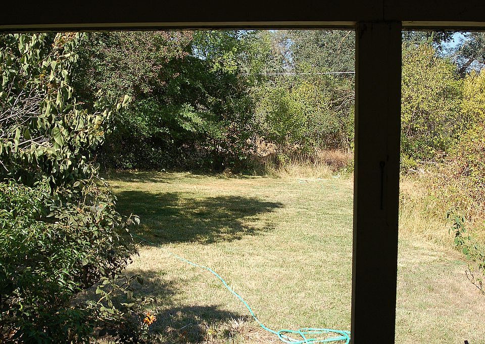 Back yard view from house