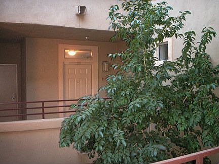 Charming entrance