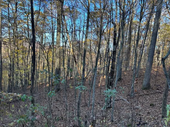 LOT 39 Falcon Stone Rdg, Nantahala, NC 28781