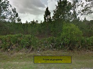 0 Poyner Oaks Rd N, Polk City, FL 33868