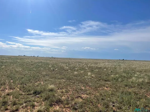 0 Curry Road Ah, Melrose, NM 88124