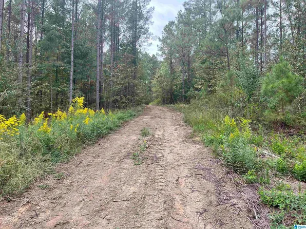 565 Sweet Apple Rd Tract 7, Pell City, AL 35128