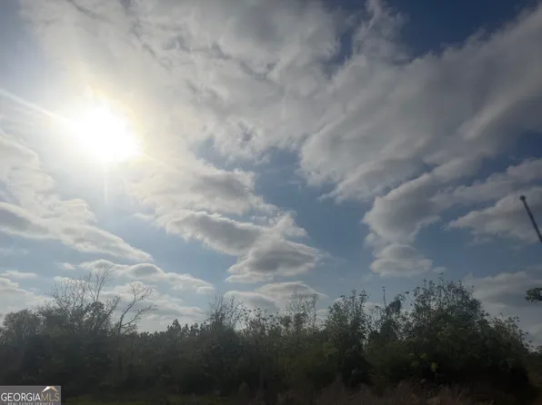 0 Ed Varnadoe Rd, Lumber City, GA 31549