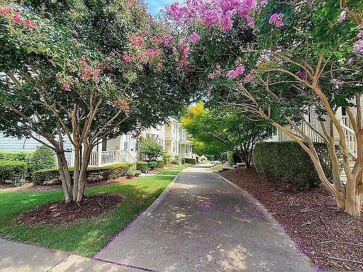 513 Village Loop Dr — Photo 24