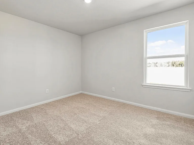 23043 Glory Orchid Dr — Photo 9