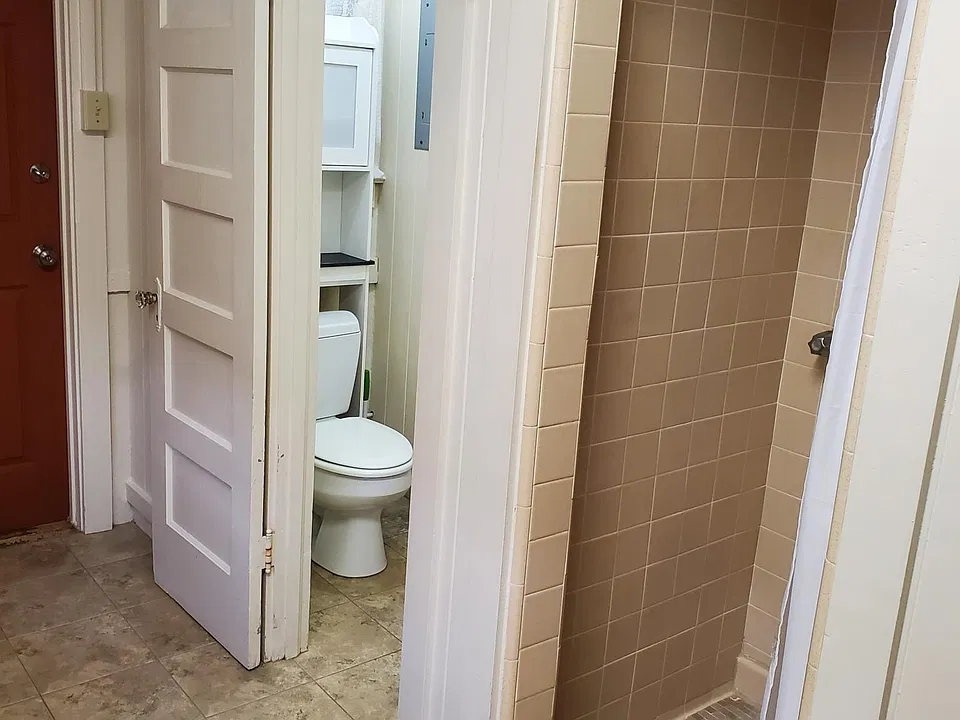 Shower and toilet