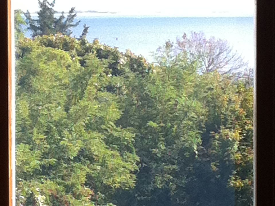 Shinnecock Bay Views