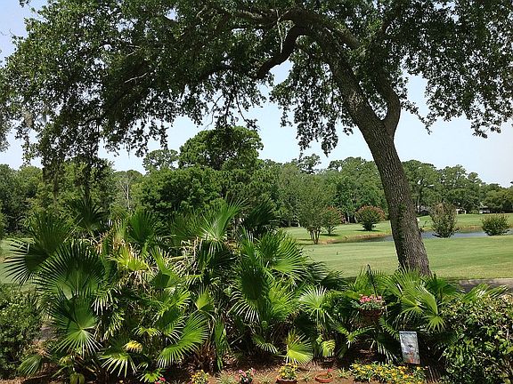 Lagoon Double Fairway views
