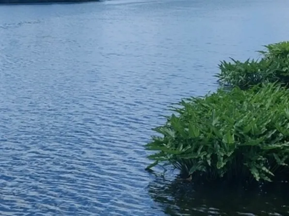 Peasant View Cove, Lisbon, CT 06351